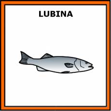 LUBINA (ANIMAL) - Pictograma (color)