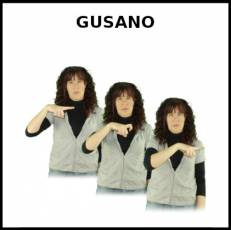 GUSANO - Signo