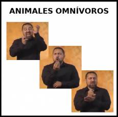 ANIMALES OMNÍVOROS - Signo