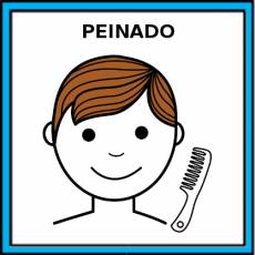 PEINADO - Pictograma (color)