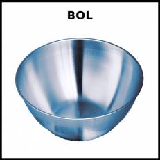 BOL - Foto