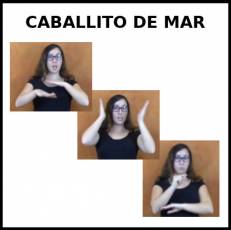 CABALLITO DE  MAR - Signo