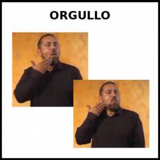 ORGULLO - Signo