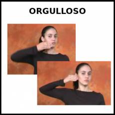 ORGULLOSO - Signo