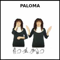 PALOMA - Signo