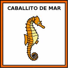CABALLITO DE  MAR - Pictograma (color)