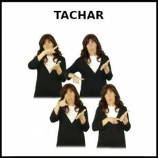 TACHAR - Signo
