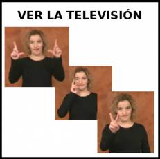 VER LA TELEVISIÓN - Signo