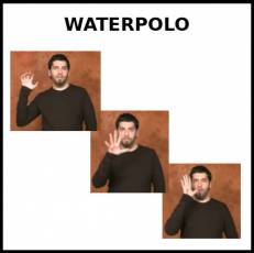 WATERPOLO - Signo