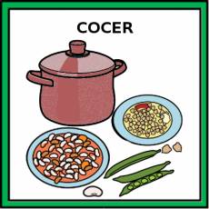 COCER - Pictograma (color)