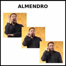 ALMENDRO - Signo