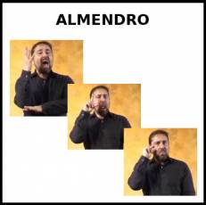 ALMENDRO - Signo