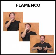 FLAMENCO (AVE) - Signo