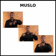MUSLO - Signo