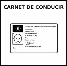 CARNET DE CONDUCIR - Pictograma (blanco y negro)