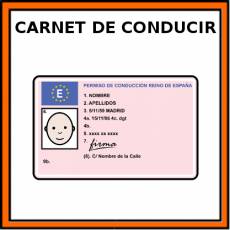 CARNET DE CONDUCIR - Pictograma (color)