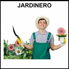 JARDINERO - Foto