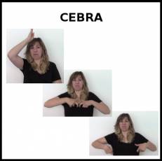 CEBRA - Signo