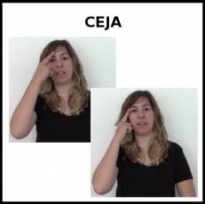 CEJA - Signo