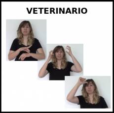 VETERINARIO - Signo