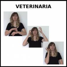 VETERINARIA - Signo