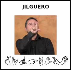 JILGUERO - Signo