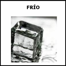FRÍO (ESTAR) - Foto