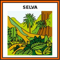 SELVA - Pictograma (color)
