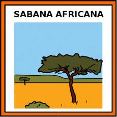 SABANA AFRICANA - Pictograma (color)