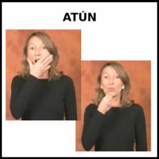 ATÚN (ANIMAL) - Signo