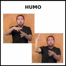HUMO - Signo