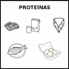 PROTEÍNAS (ORIGEN ANIMAL) - Pictograma (blanco y negro)