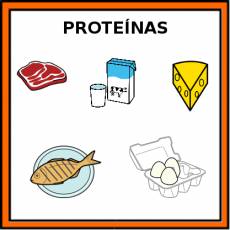 PROTEÍNAS (ORIGEN ANIMAL) - Pictograma (color)