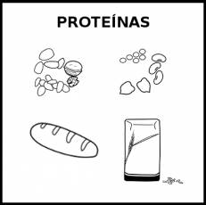 PROTEÍNAS (ORIGEN VEGETAL) - Pictograma (blanco y negro)
