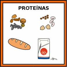 PROTEÍNAS (ORIGEN VEGETAL) - Pictograma (color)