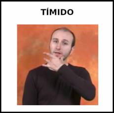 TÍMIDO - Signo