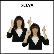 SELVA - Signo