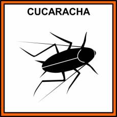 CUCARACHA - Pictograma (color)