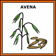 AVENA - Pictograma (color)