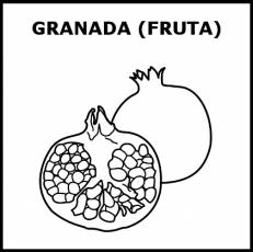 GRANADA (FRUTA) - Pictograma (blanco y negro)