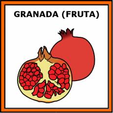 GRANADA (FRUTA) - Pictograma (color)