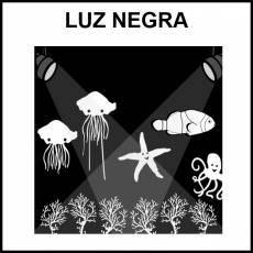 LUZ NEGRA - Pictograma (blanco y negro)