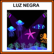 LUZ NEGRA - Pictograma (color)