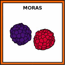 MORAS - Pictograma (color)