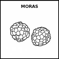 MORAS - Pictograma (blanco y negro)