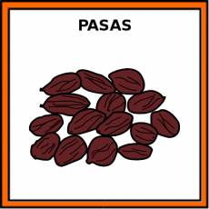 PASAS - Pictograma (color)