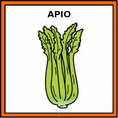 APIO - Pictograma (color)