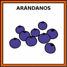ARÁNDANOS - Pictograma (color)