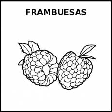 FRAMBUESAS - Pictograma (blanco y negro)