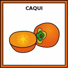 CAQUI - Pictograma (color)